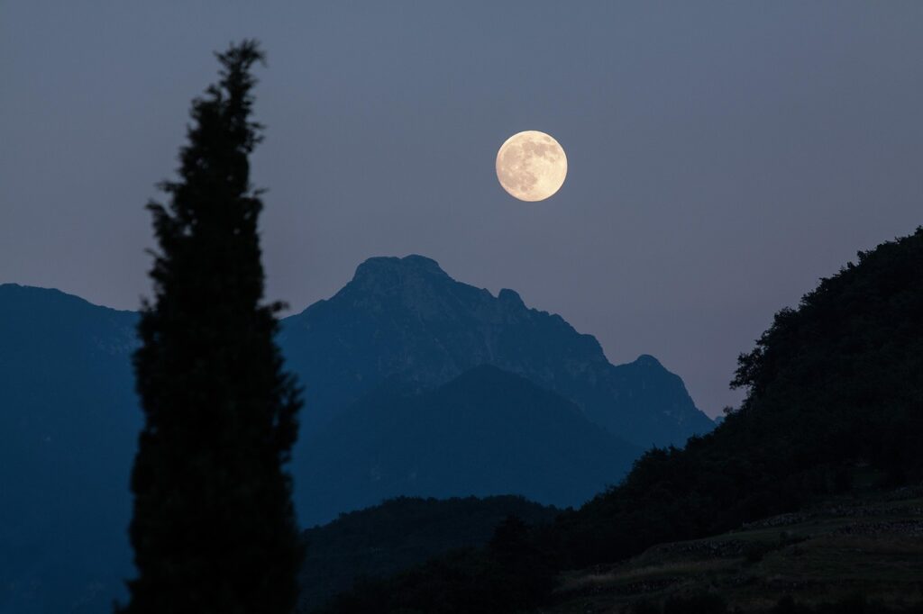 moon, cypress, mountains, moonrise, full moon, nature, romantic, night, eve, dusk, almost night