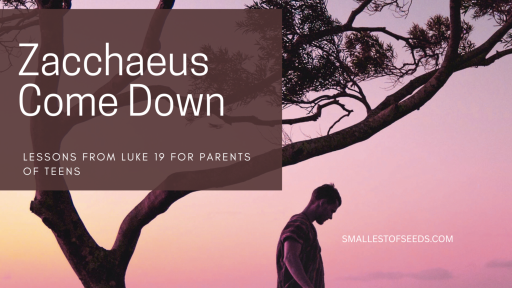 zaccheus come down