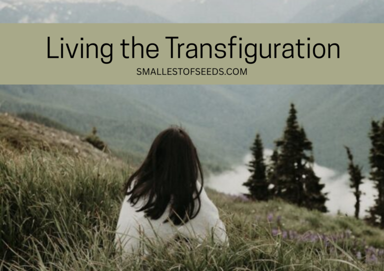 transfiguration