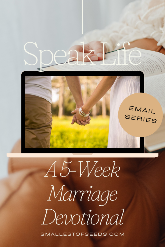 marriage devotional series-speak life marriage series